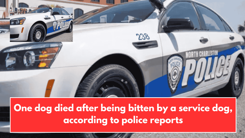 One dog died after being bitten by a service dog, according to police reports