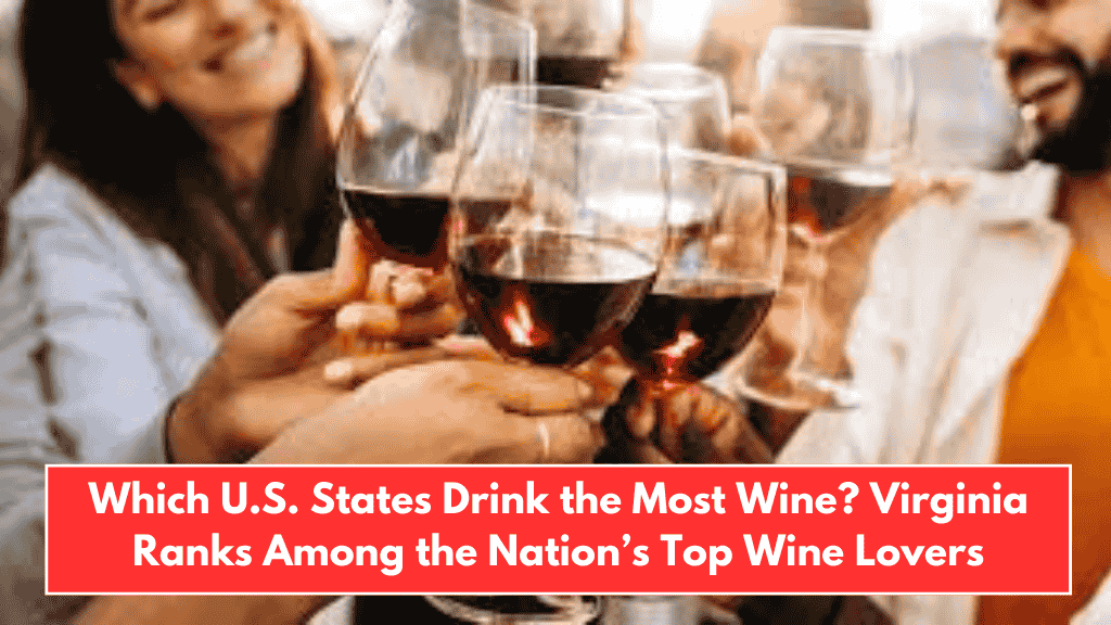 Which U.S. States Drink the Most Wine? Virginia Ranks Among the Nation’s Top Wine Lovers