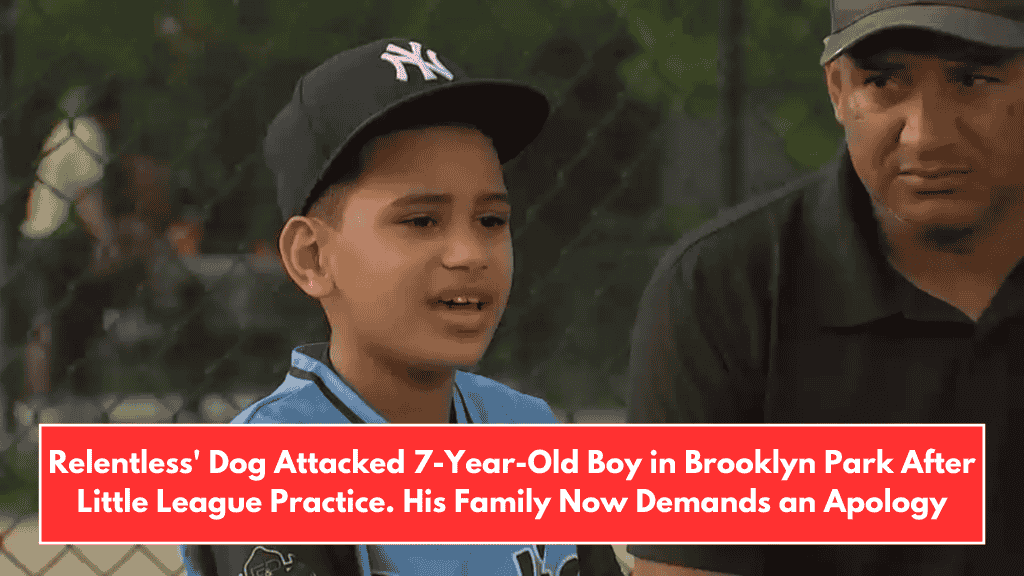 Relentless' Dog Attacked 7-Year-Old Boy in Brooklyn Park After Little League Practice. His Family Now Demands an Apology