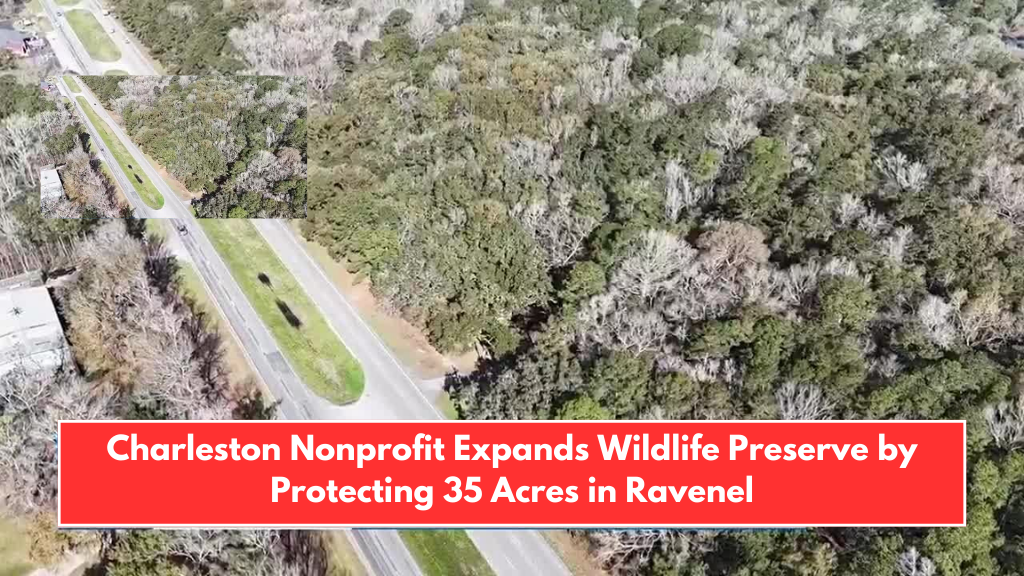 Charleston Nonprofit Expands Wildlife Preserve by Protecting 35 Acres in Ravenel
