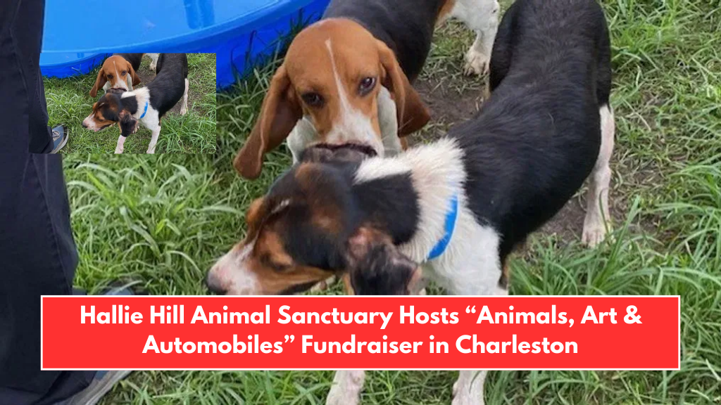Hallie Hill Animal Sanctuary Hosts “Animals, Art & Automobiles” Fundraiser in Charleston