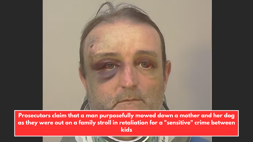 Prosecutors claim that a man purposefully mowed down a mother and her dog as they were out on a family stroll in retaliation for a "sensitive" crime between kids