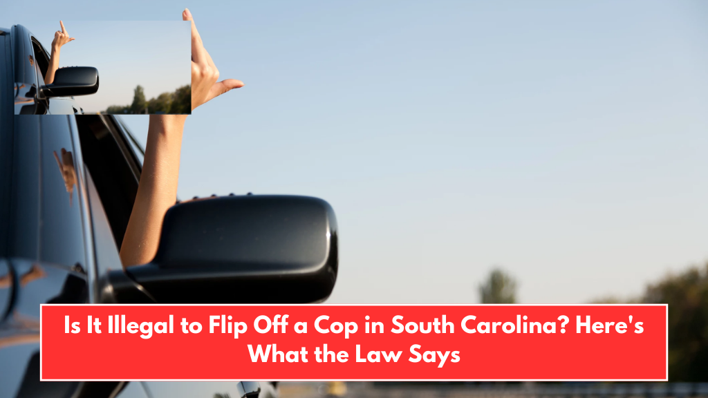 Is It Illegal to Flip Off a Cop in South Carolina? Here's What the Law Says