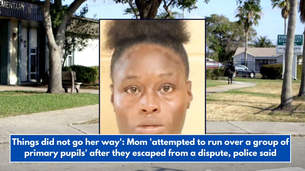 Things did not go her way': Mom 'attempted to run over a group of primary pupils' after they escaped from a dispute, police said