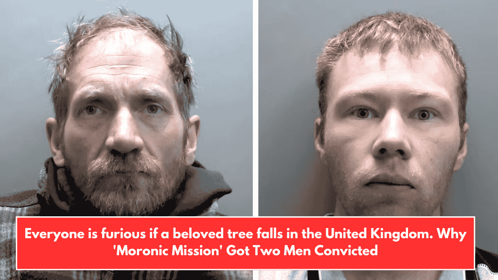 Everyone is furious if a beloved tree falls in the United Kingdom. Why 'Moronic Mission' Got Two Men Convicted