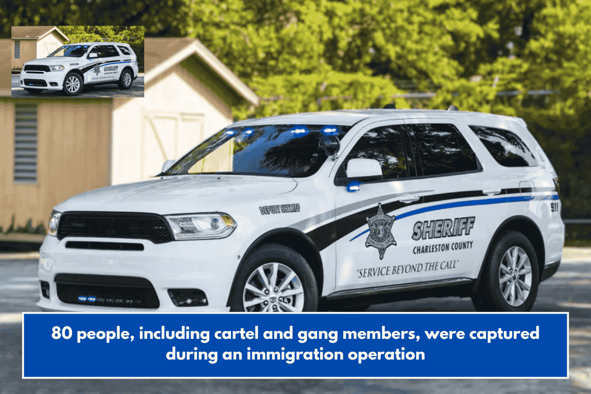 80 people, including cartel and gang members, were captured during an immigration operation