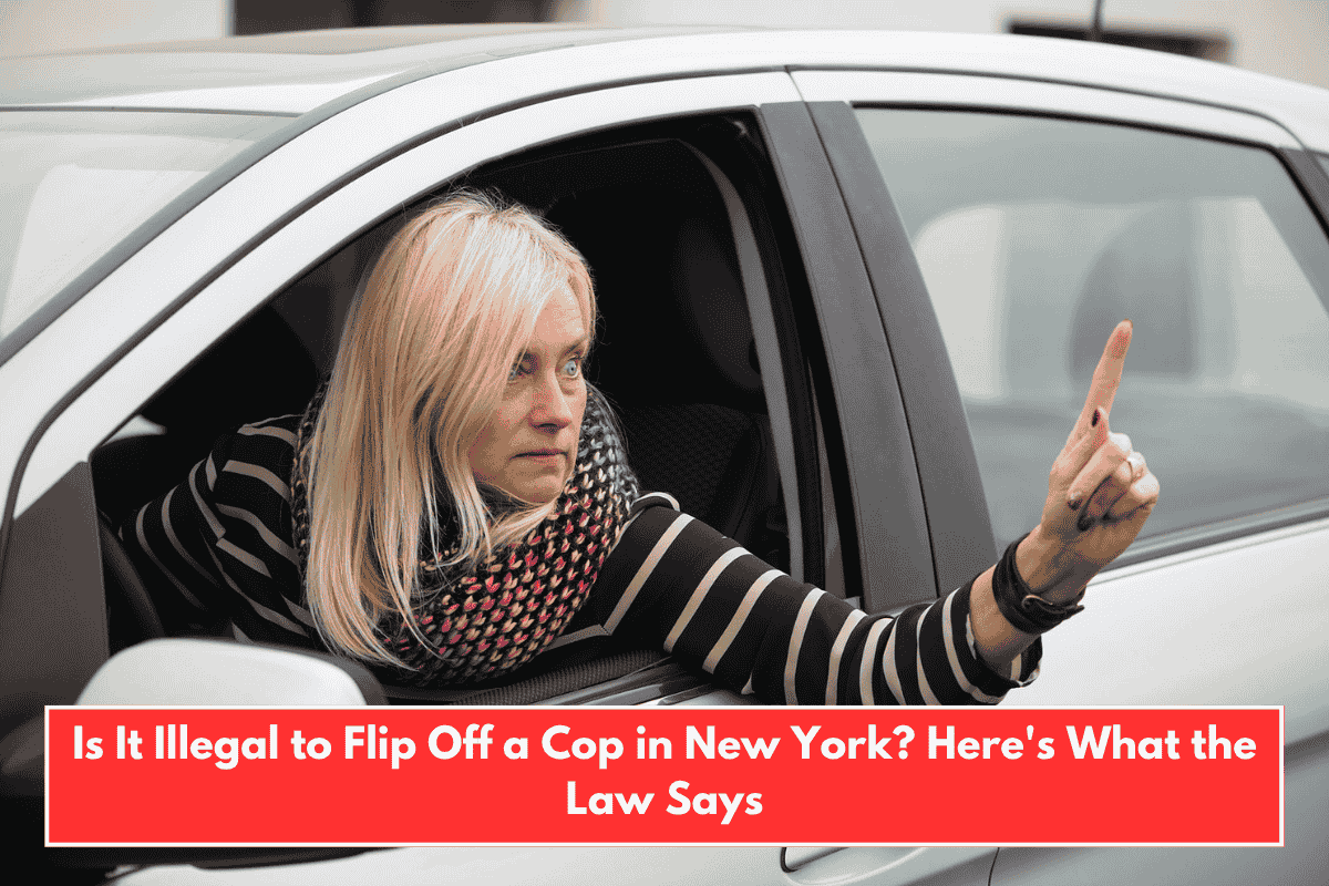 Is It Illegal to Flip Off a Cop in New York? Here's What the Law Says
