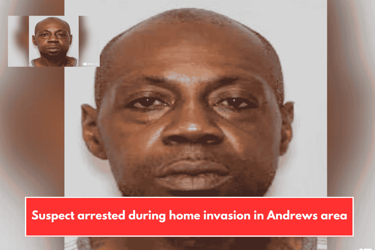 Suspect arrested during home invasion in Andrews area