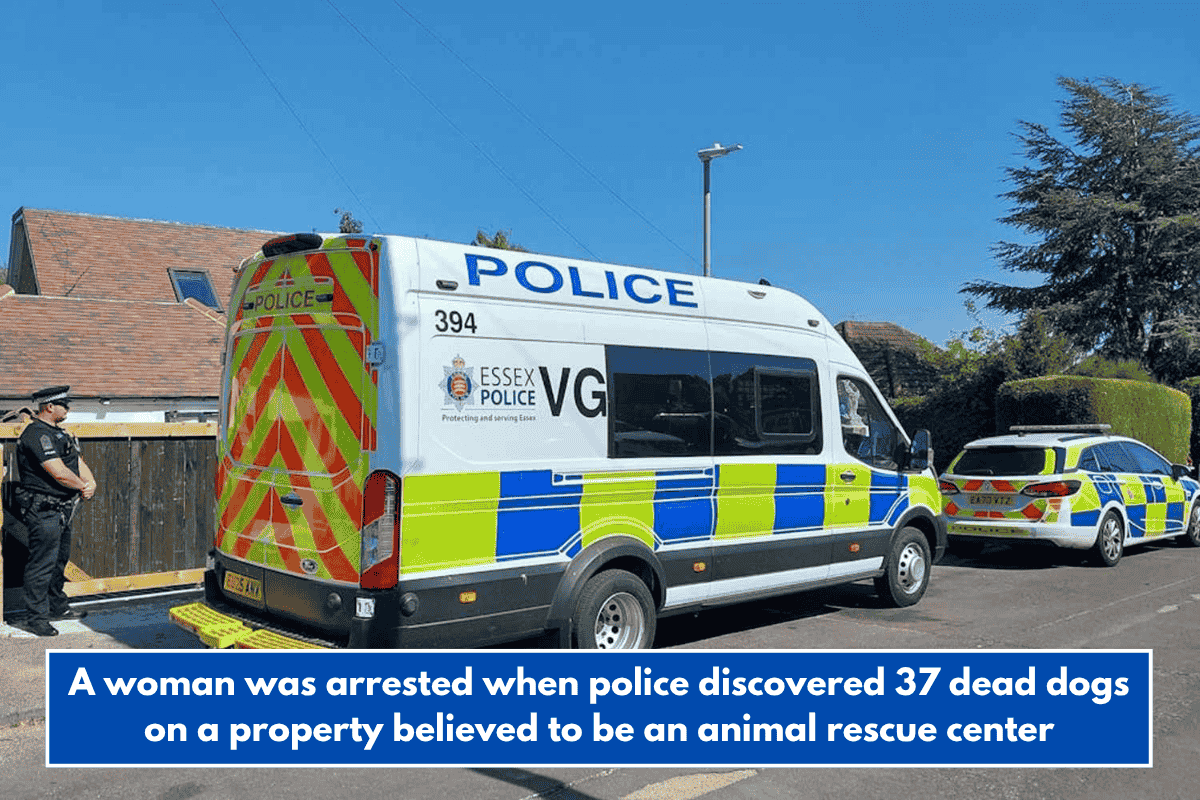 A woman was arrested when police discovered 37 dead dogs on a property believed to be an animal rescue center