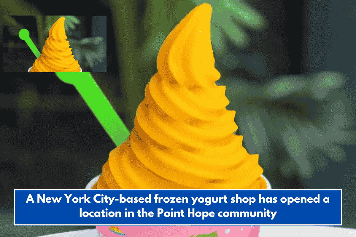A New York City-based frozen yogurt shop has opened a location in the Point Hope community