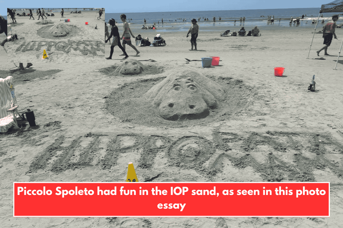 Piccolo Spoleto had fun in the IOP sand, as seen in this photo essay