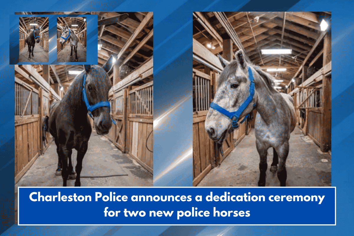 Charleston Police announces a dedication ceremony for two new police horses