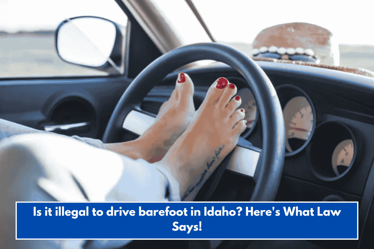 Is it illegal to drive barefoot in Idaho? Here's What Law Says!