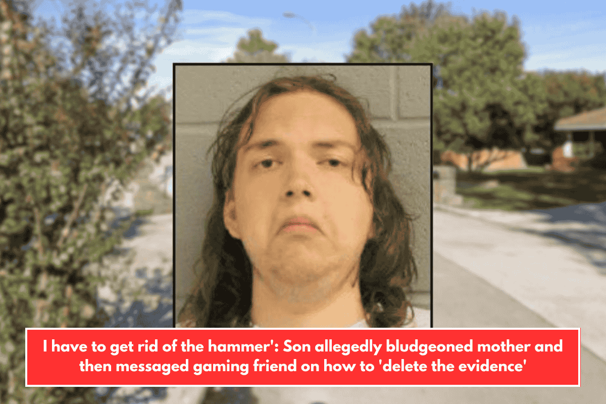 I have to get rid of the hammer': Son allegedly bludgeoned mother and then messaged gaming friend on how to 'delete the evidence'