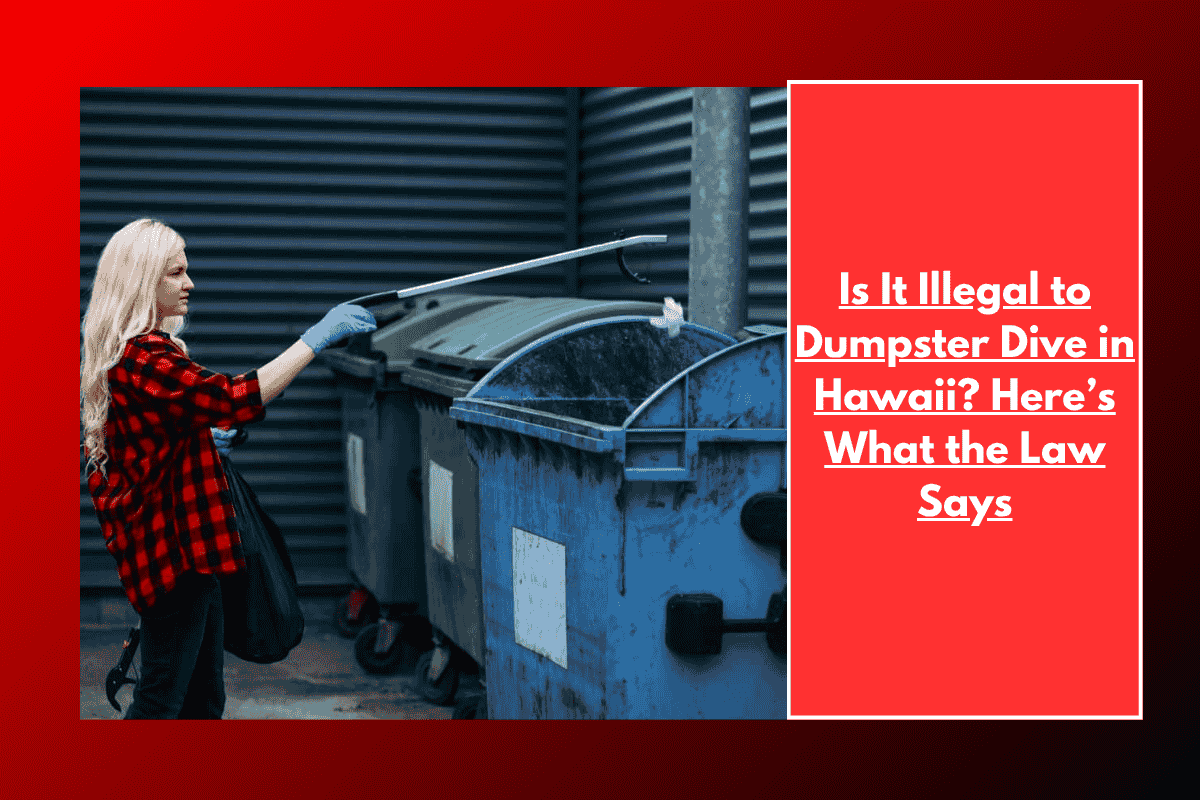Is It Illegal to Dumpster Dive in Hawaii? Here’s What the Law Says