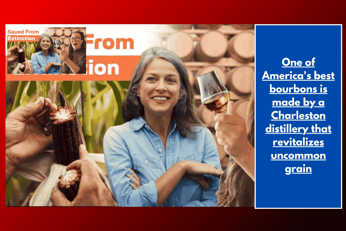 One of America's best bourbons is made by a Charleston distillery that revitalizes uncommon grain