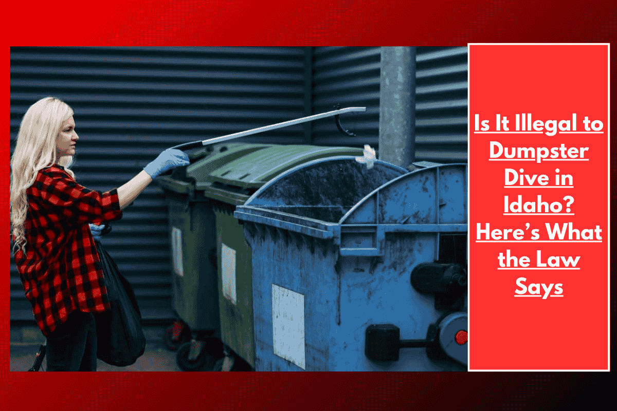 Is It Illegal to Dumpster Dive in Idaho? Here’s What the Law Says