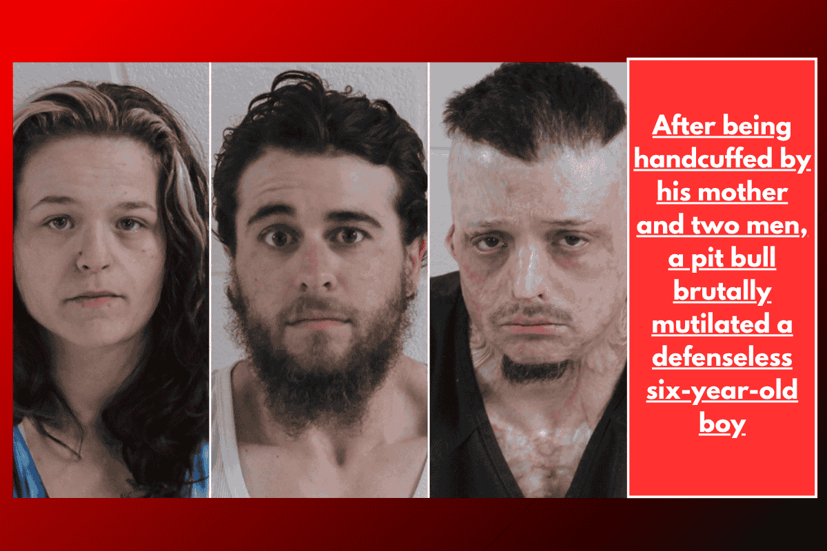 After being handcuffed by his mother and two men, a pit bull brutally mutilated a defenseless six-year-old boy