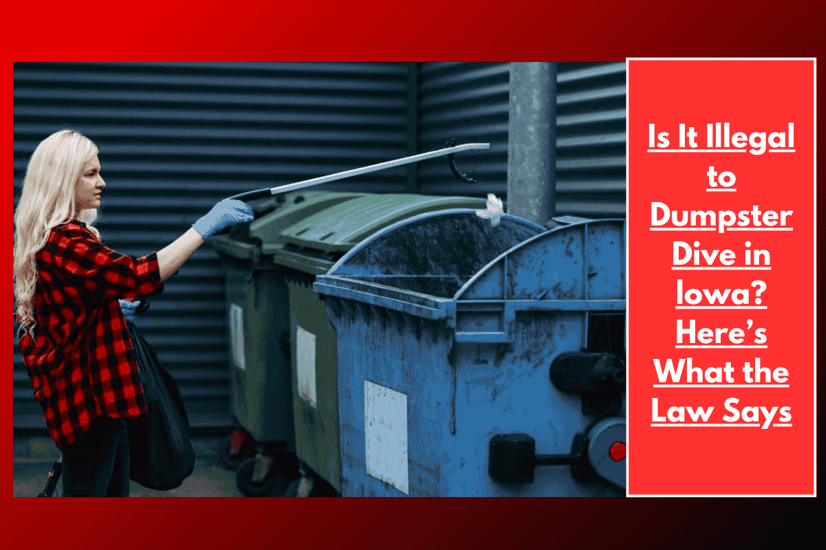 Is It Illegal to Dumpster Dive in lowa? Here’s What the Law Says