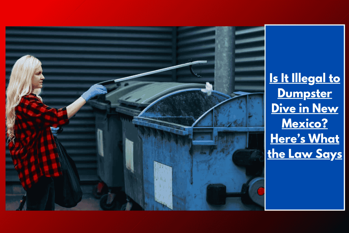 Is It Illegal to Dumpster Dive in New Mexico? Here’s What the Law Says