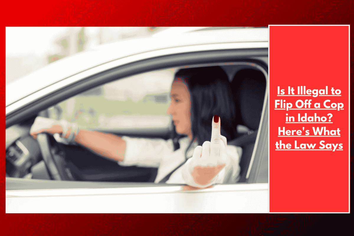 Is It Illegal to Flip Off a Cop in Idaho? Here's What the Law Says