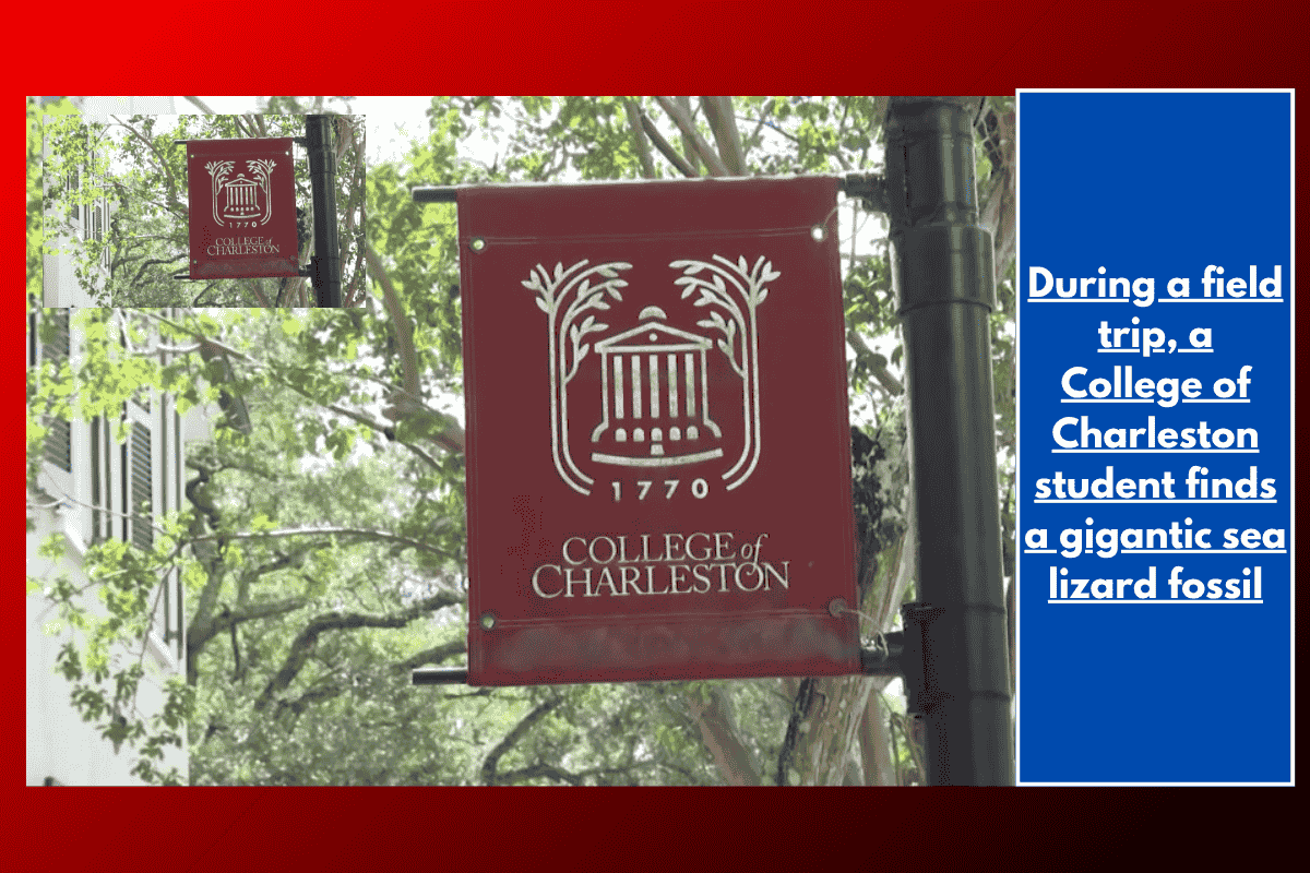 During a field trip, a College of Charleston student finds a gigantic sea lizard fossil