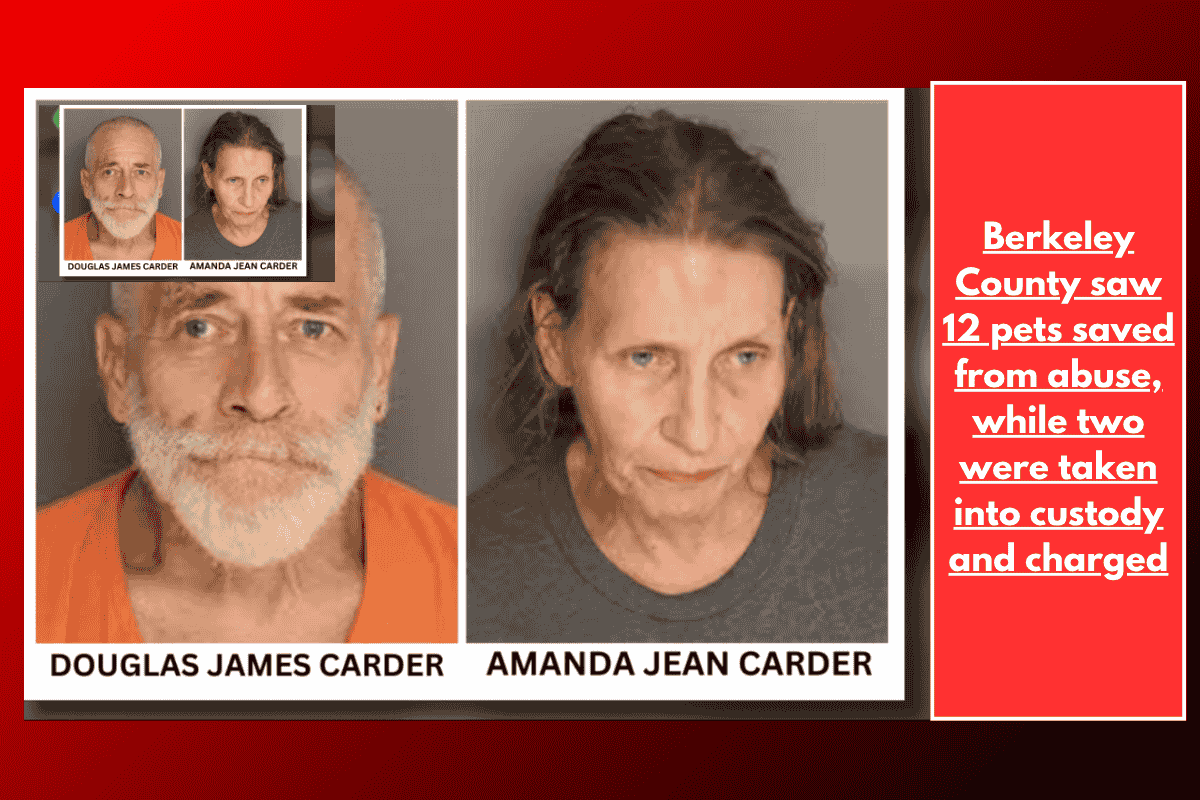 Berkeley County saw 12 pets saved from abuse, while two were taken into custody and charged
