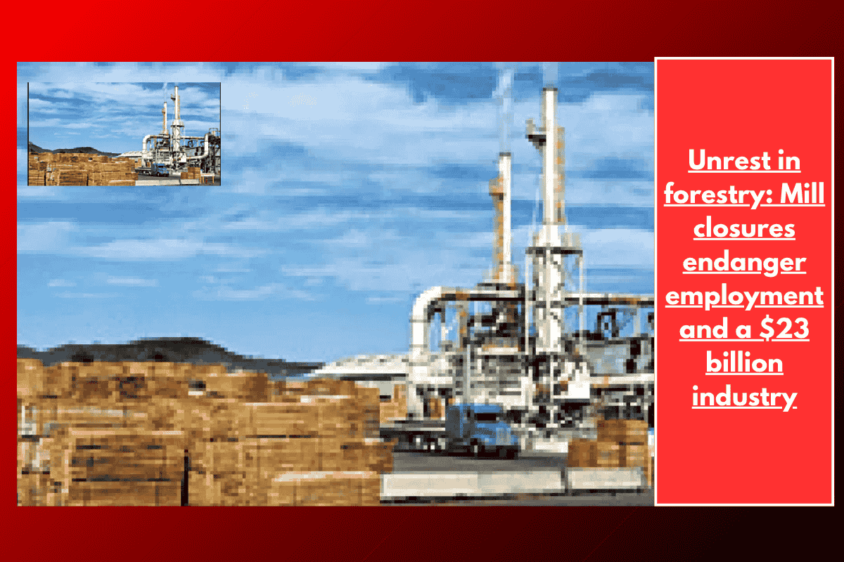 Unrest in forestry: Mill closures endanger employment and a $23 billion industry