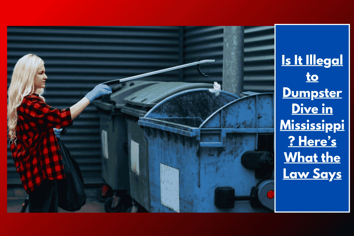 Is It Illegal to Dumpster Dive in Mississippi? Here’s What the Law Says