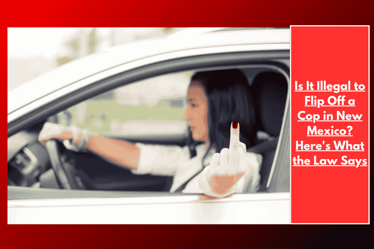 Is It Illegal to Flip Off a Cop in New Mexico? Here's What the Law Says