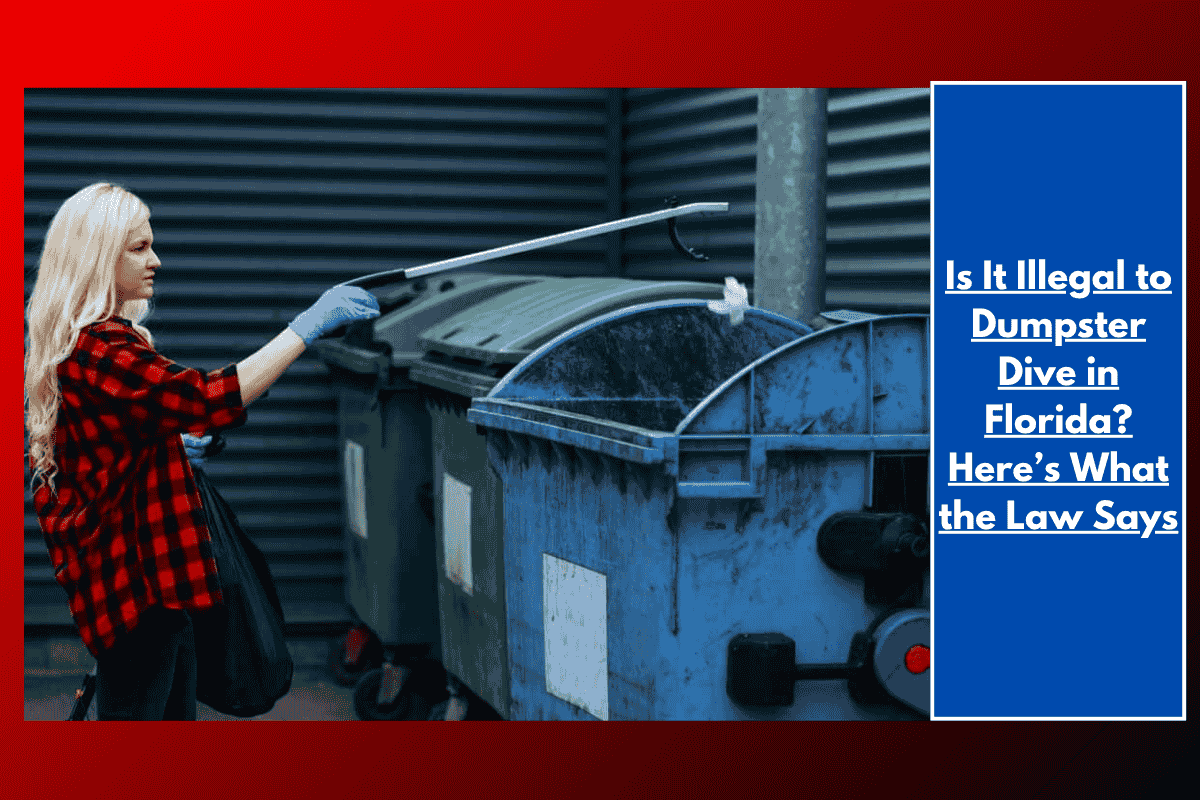 Is It Illegal to Dumpster Dive in Florida? Here’s What the Law Says