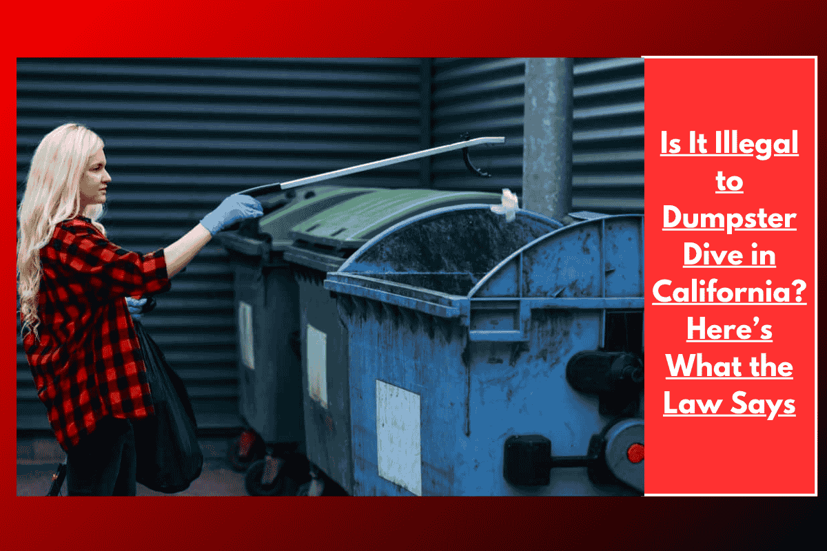Is It Illegal to Dumpster Dive in California? Here’s What the Law Says
