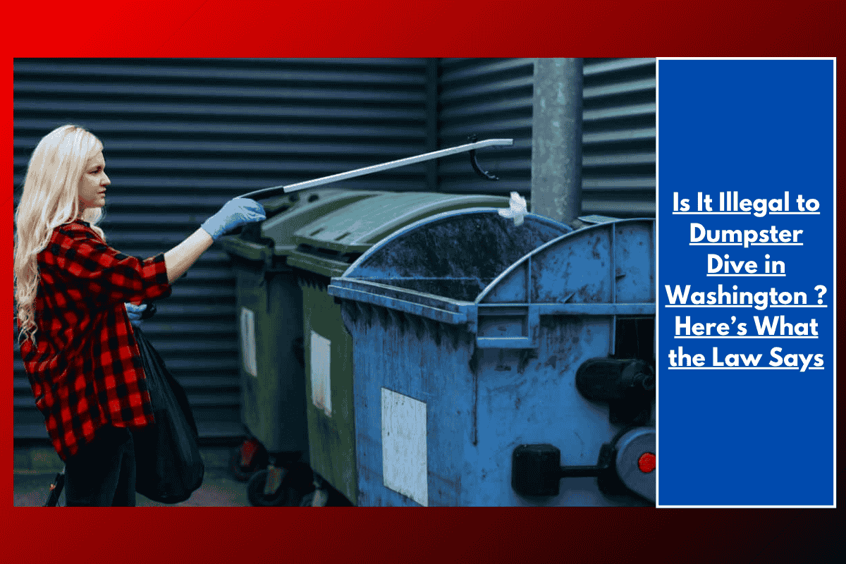 Is It Illegal to Dumpster Dive in Washington ? Here’s What the Law Says