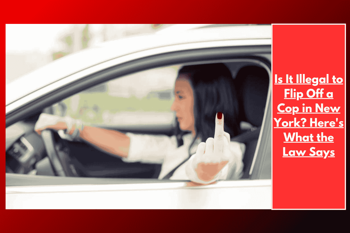 Is It Illegal to Flip Off a Cop in New York? Here's What the Law Says