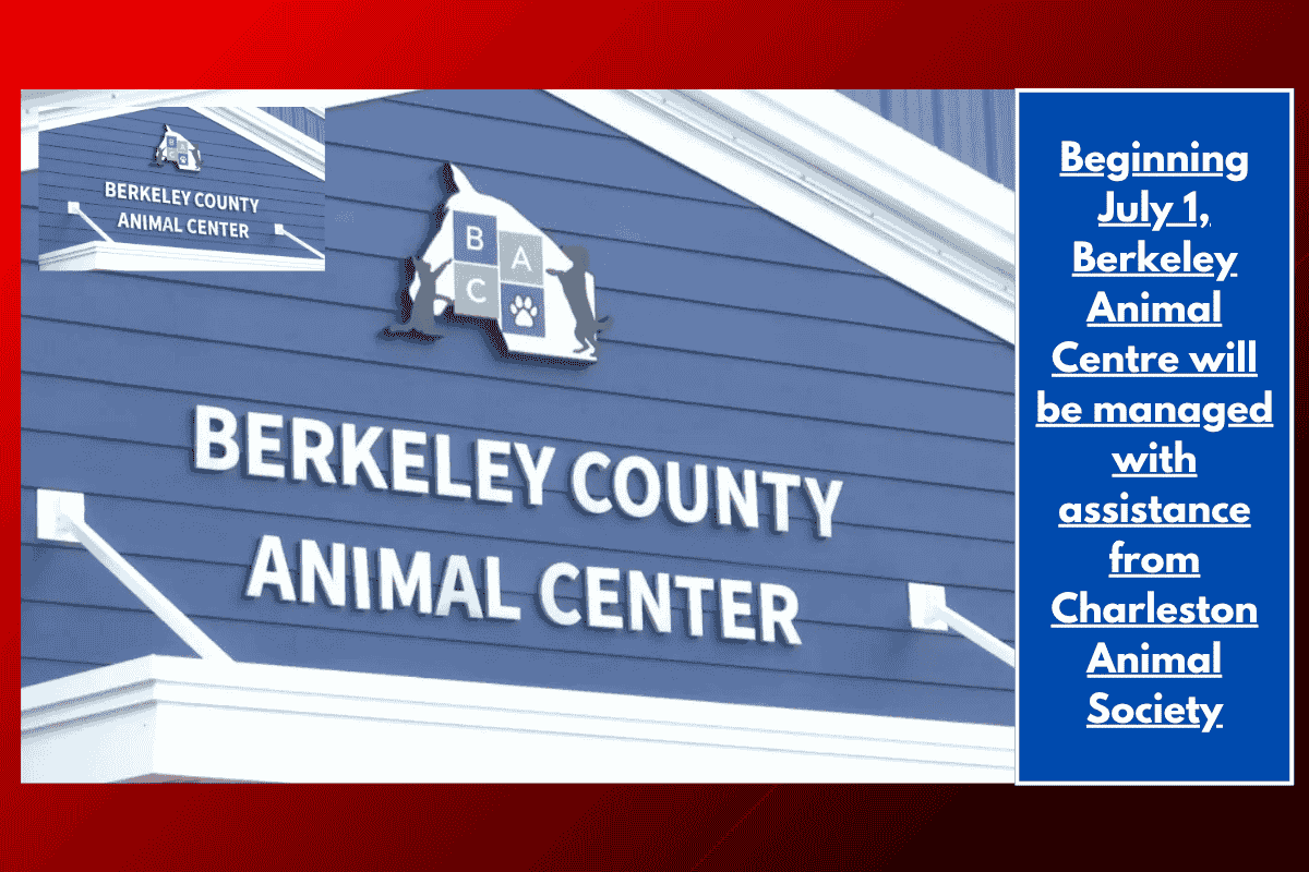 Beginning July 1, Berkeley Animal Centre will be managed with assistance from Charleston Animal Society