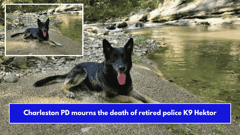 Charleston PD mourns the death of retired police K9 Hektor