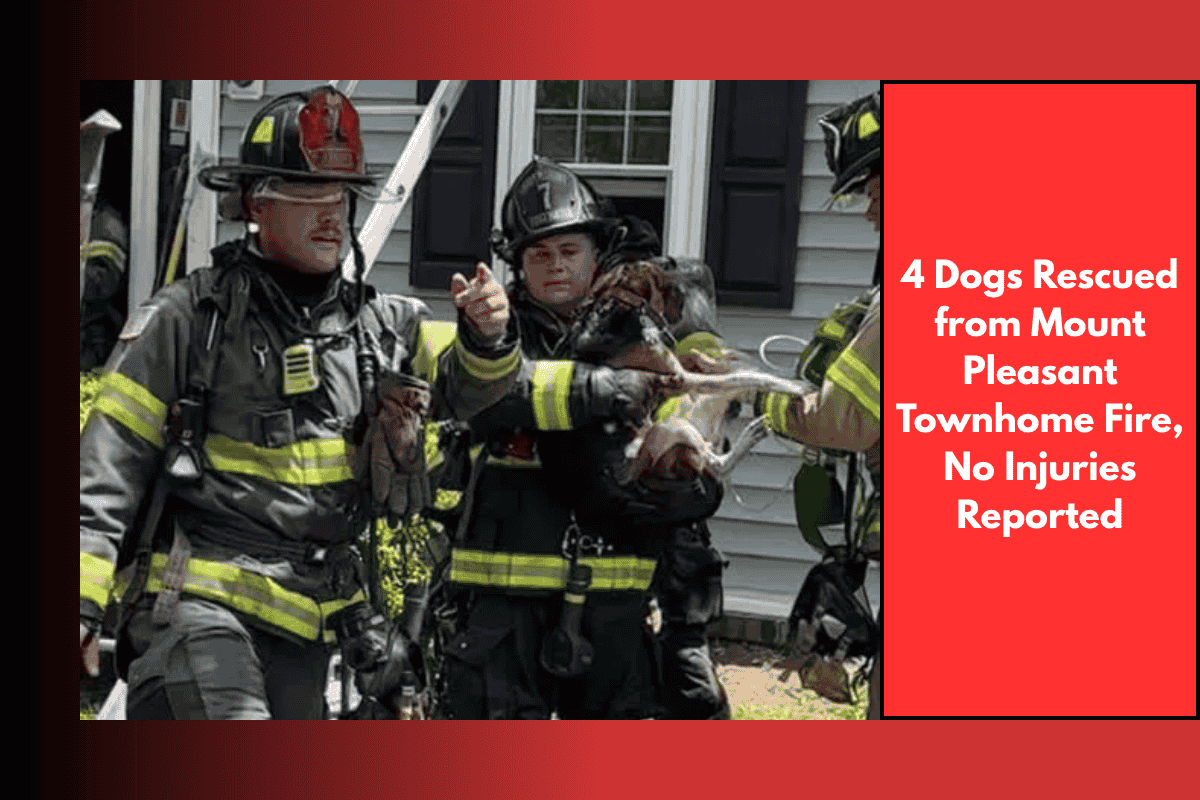 4 Dogs Rescued from Mount Pleasant Townhome Fire, No Injuries Reported