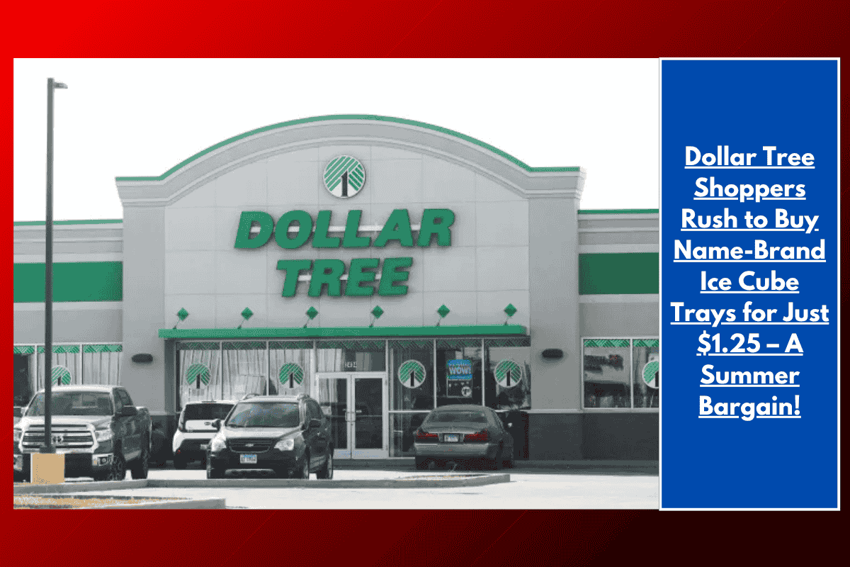 Dollar Tree Shoppers Rush to Buy Name-Brand Ice Cube Trays for Just $1.25 – A Summer Bargain!