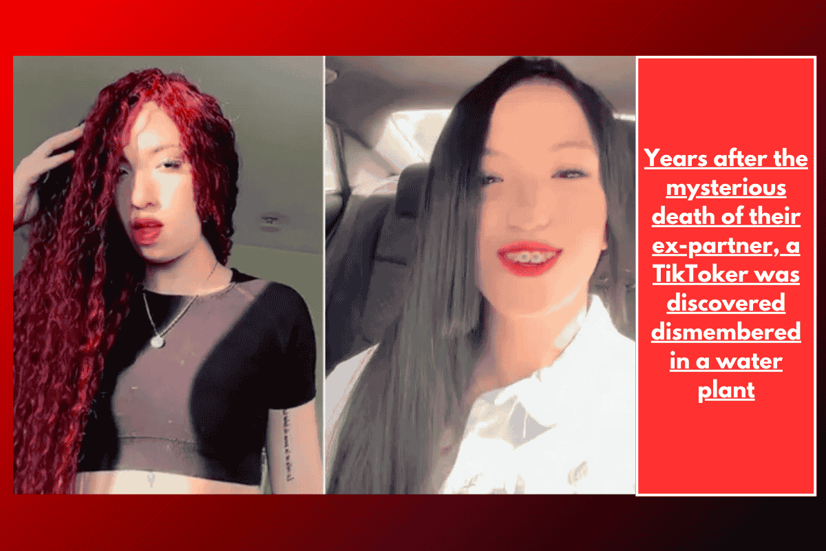 Years after the mysterious death of their ex-partner, a TikToker was discovered dismembered in a water plant