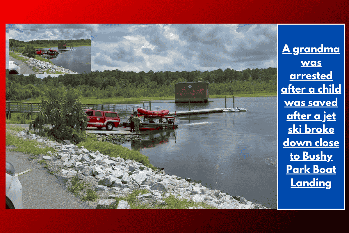 A grandma was arrested after a child was saved after a jet ski broke down close to Bushy Park Boat Landing