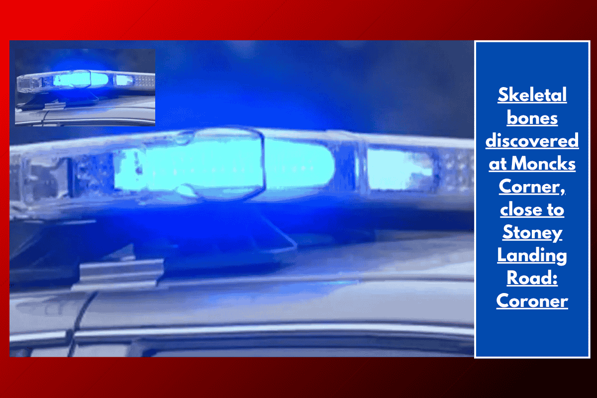 Skeletal bones discovered at Moncks Corner, close to Stoney Landing Road: Coroner