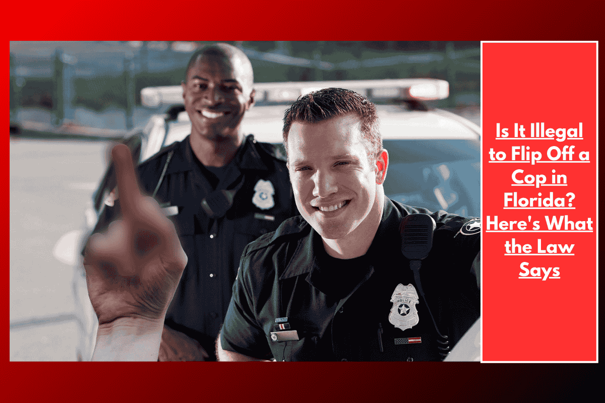 Is It Illegal to Flip Off a Cop in Florida? Here's What the Law Says