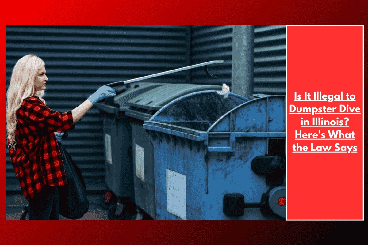 Is It Illegal to Dumpster Dive in IIIinois? Here’s What the Law Says