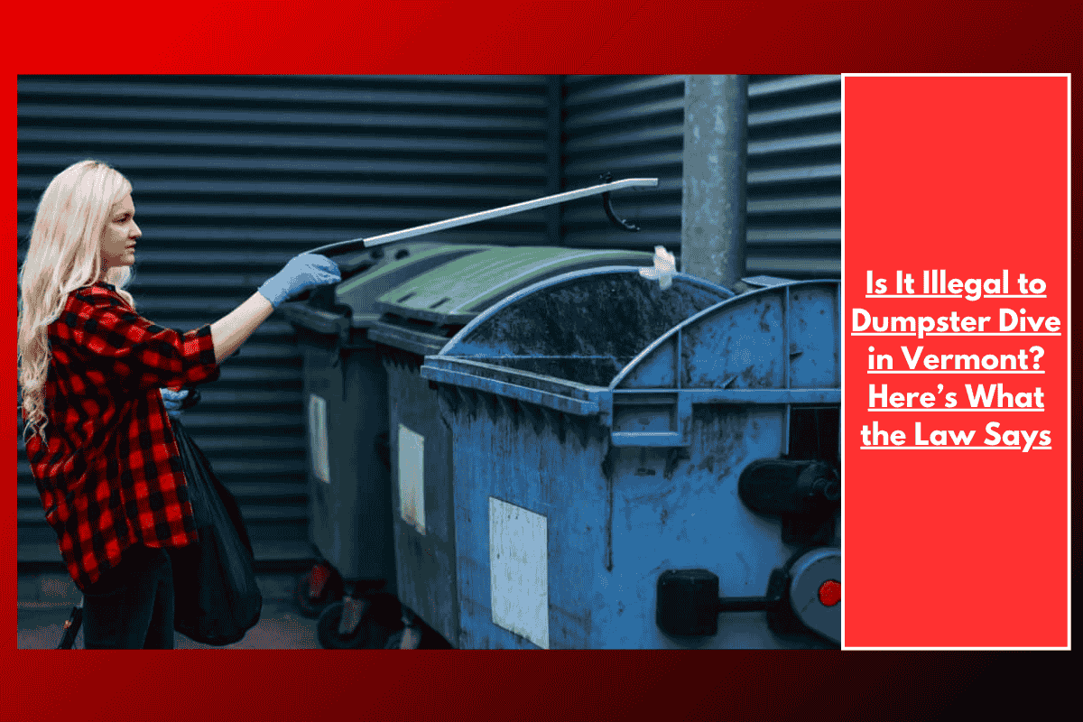 Is It Illegal to Dumpster Dive in Vermont? Here’s What the Law Says