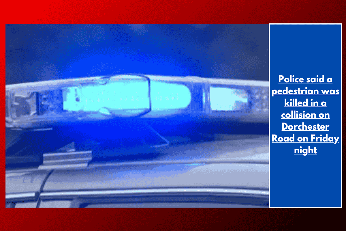 Police said a pedestrian was killed in a collision on Dorchester Road on Friday night