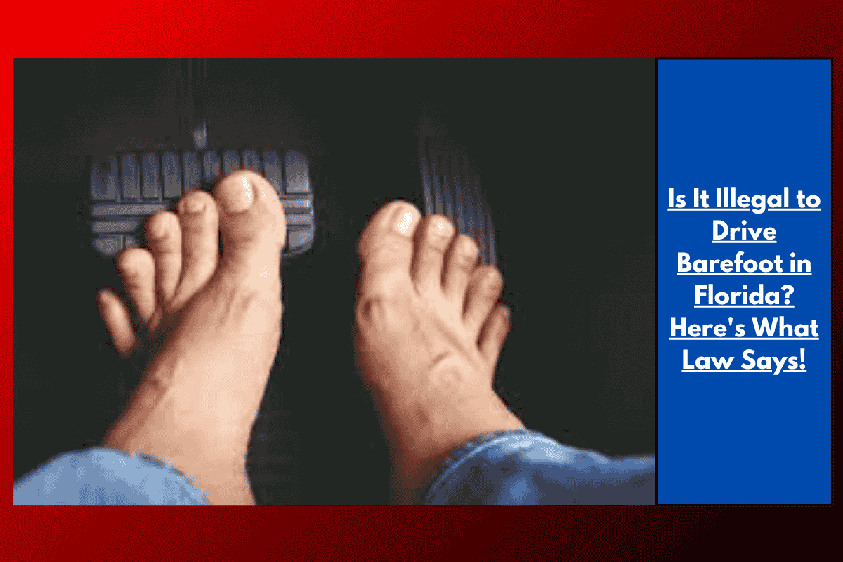 Is It Illegal to Drive Barefoot in Florida? Here's What Law Says!