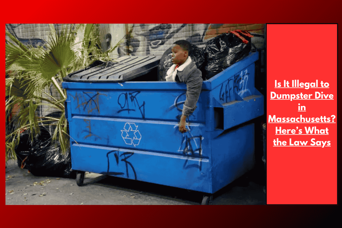 Is It Illegal to Dumpster Dive in Massachusetts? Here’s What the Law Says