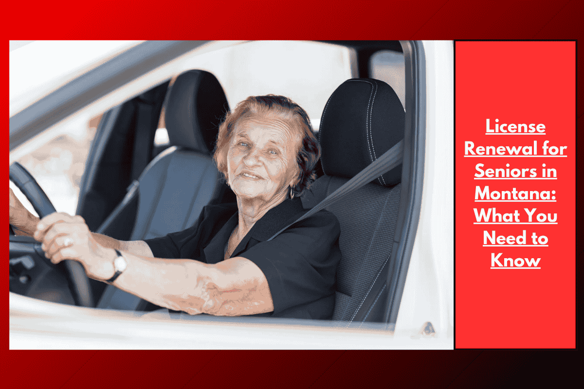 License Renewal for Seniors in Montana: What You Need to Know