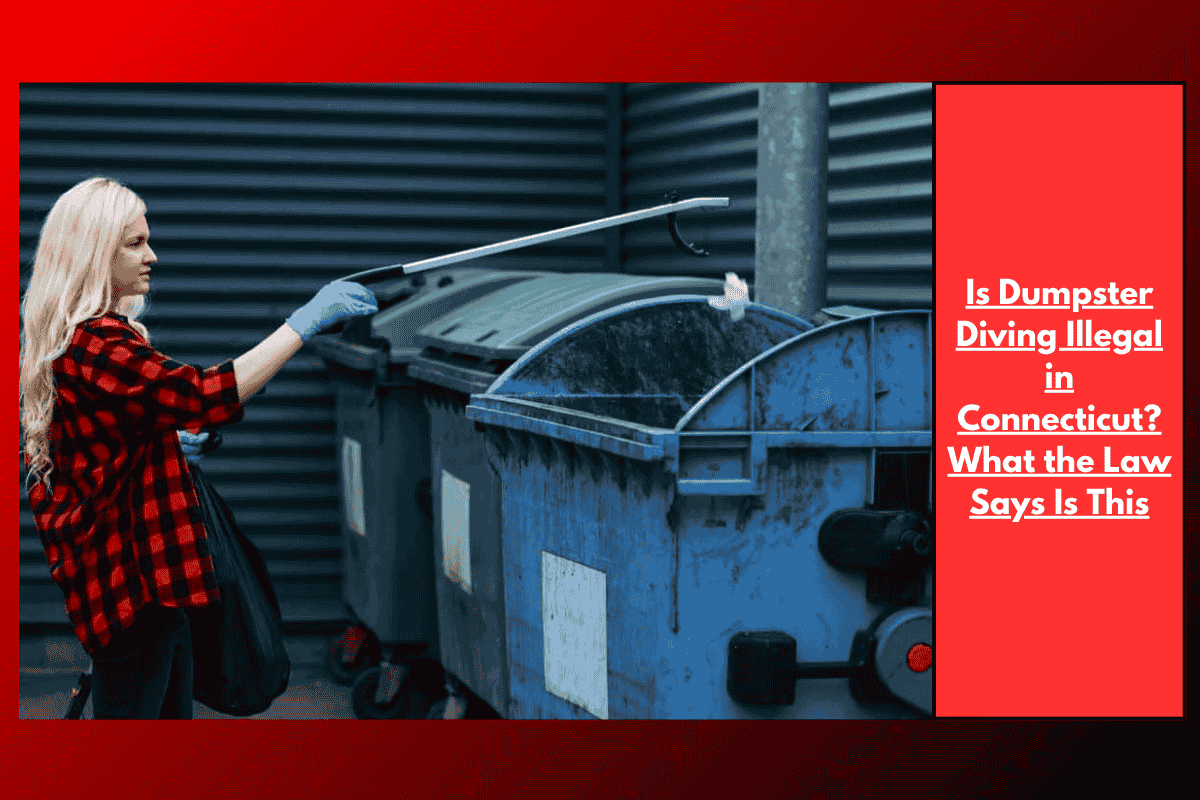 Is Dumpster Diving Illegal in Connecticut? What the Law Says Is This