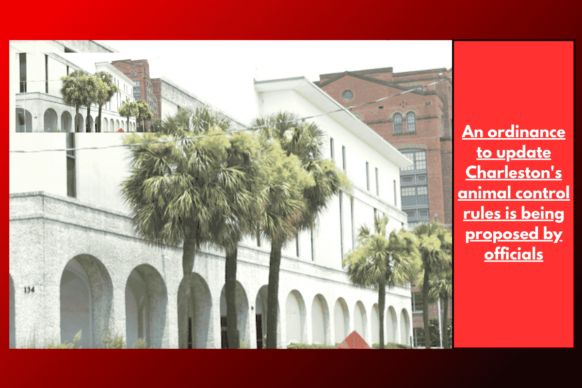 An ordinance to update Charleston's animal control rules is being proposed by officials